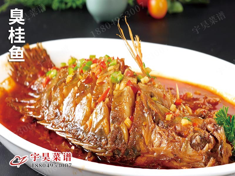 臭桂鱼
